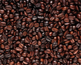 Coffee Bean 